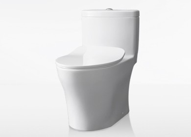 坐便器 坐便器